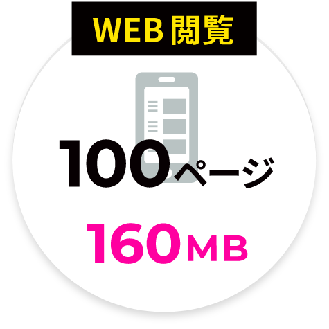 WEB閲覧：100ページ160MB